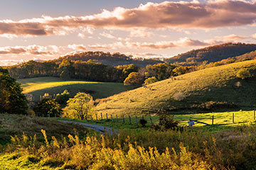 Rolling green hills in North Carolina